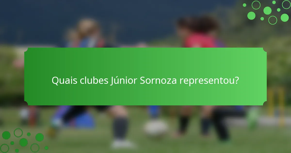 Quais clubes Júnior Sornoza representou?